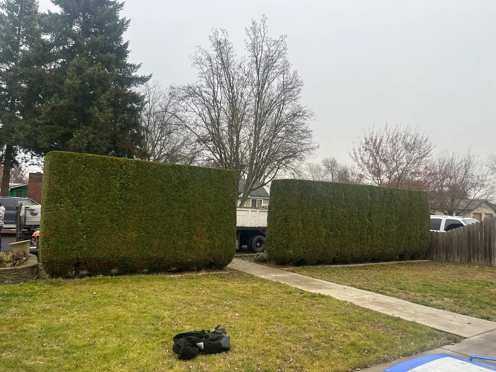 Trimmed hedges and lawn along a front walk