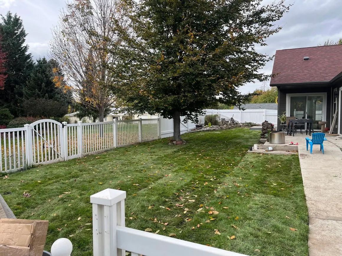 Lawn with a tree, white fence and patio behind a house